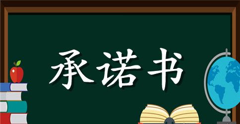 市环保局局长任前承诺书