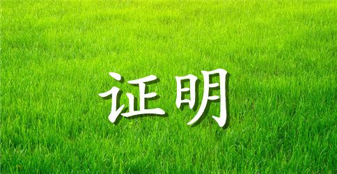 签证工作证明收入证明
