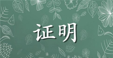 无工作无固定收入证明