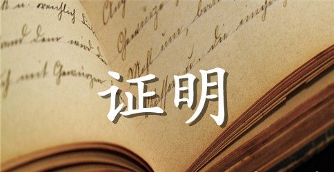 单位工作证明标准