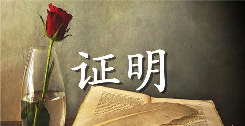 公司出资能力证明开具介绍