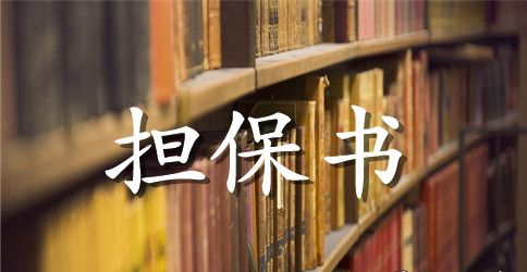 实用的融资担保合同3篇