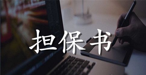 精选担保合同6篇