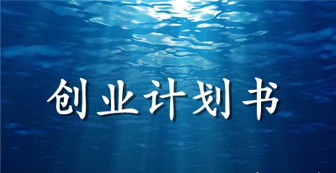 我的农村淘宝创业计划书