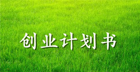 app创业策划书
