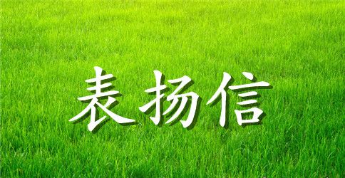 工作表现突出的表扬信