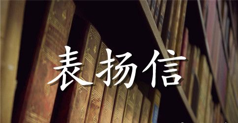 至企业负责人的表扬信