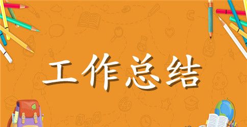 党领导小组年度工作总结