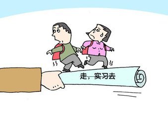 大学生个人实习总结