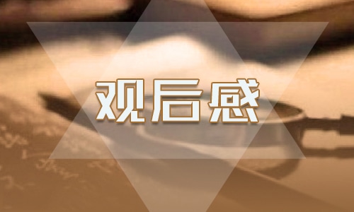 2023抗美援朝70周年大会观后感作文